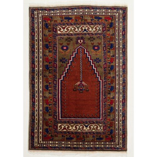 Taspinar Carpet