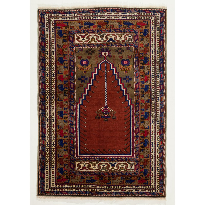 Taspinar Carpet