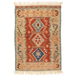 草木染めキリム 青山キリムハウス ペルシャ絨毯 トルコ絨毯キリム専門